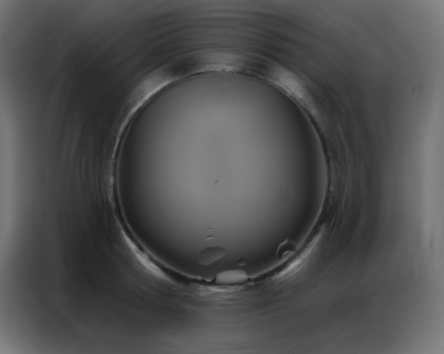 X0000086930802200704161423