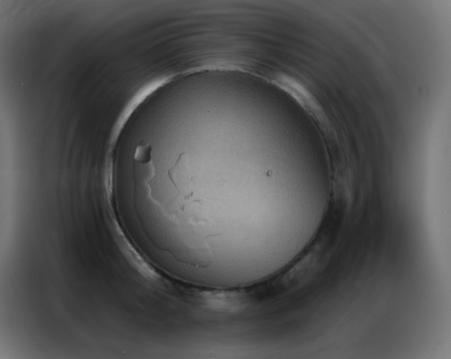 X0000086930804200704161423