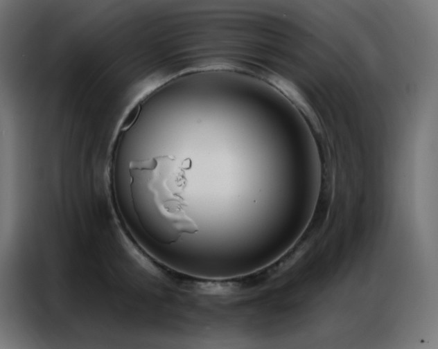 X0000086930805200704161423