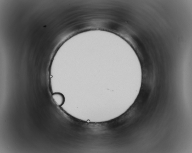X0000086930807200704161423