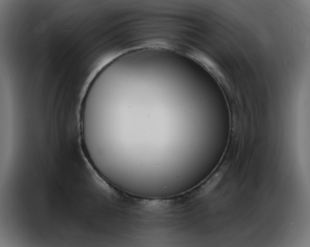X0000086930808200704161423