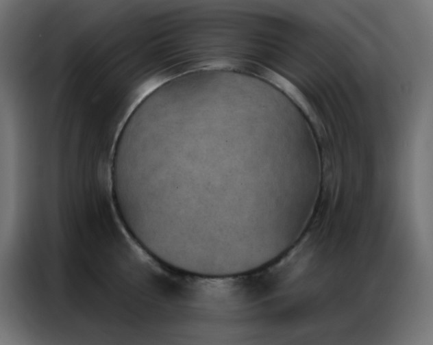 X0000086930810200704161423
