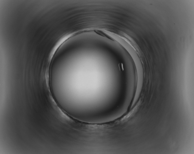 X0000086930812200704161423