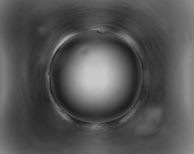 X0000086930814200704161423