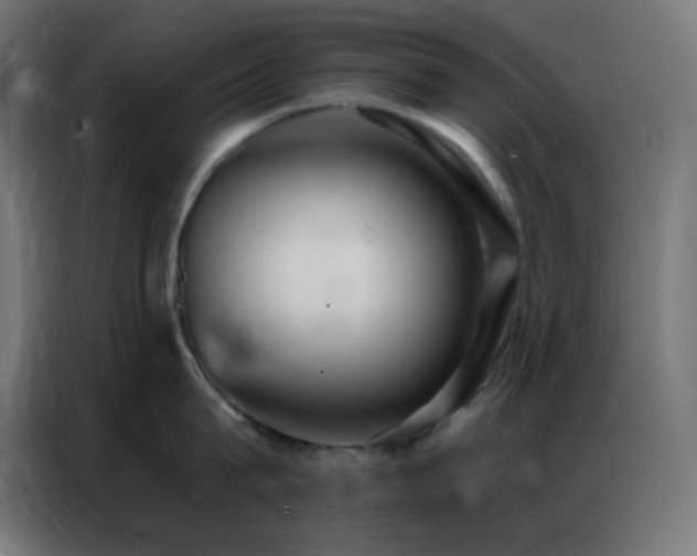 X0000086930815200704161423