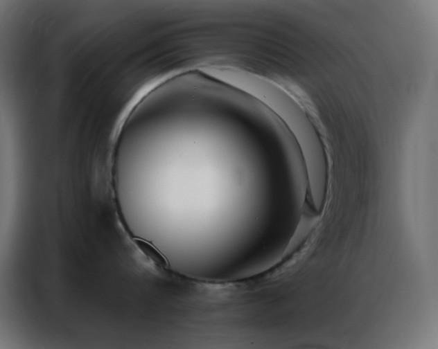 X0000086930816200704161423