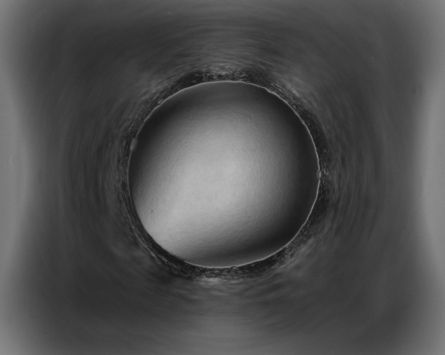 X0000086930817200704161422
