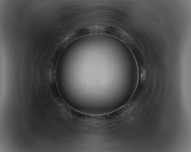 X0000086930819200704161422