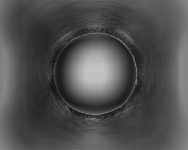 X0000086930821200704161422