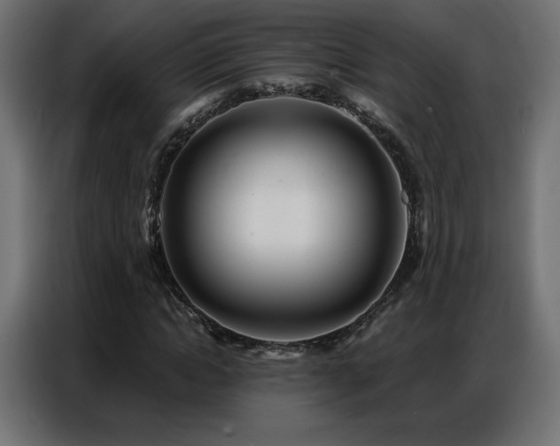X0000086930822200704161422