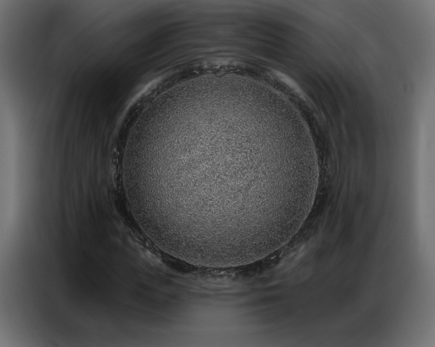X0000086930823200704161422