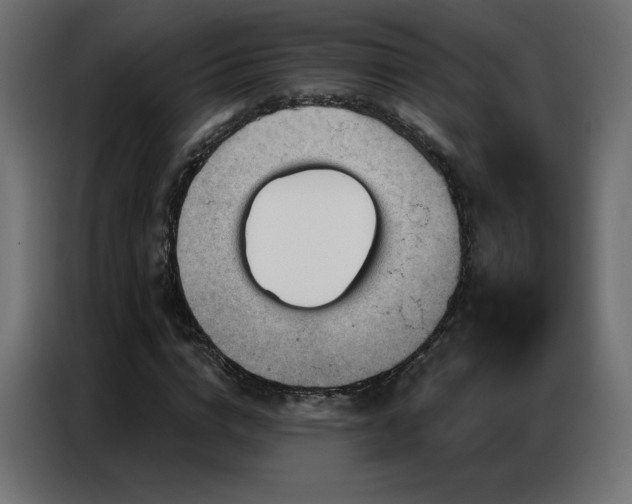 X0000086930824200704161422