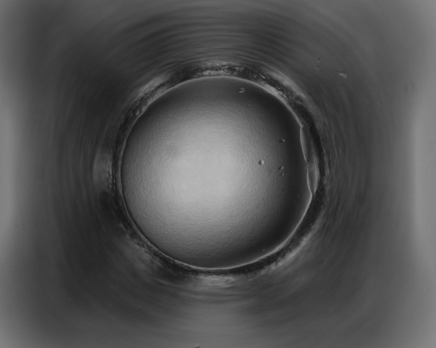 X0000086930825200704161422