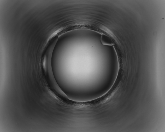 X0000086930826200704161422