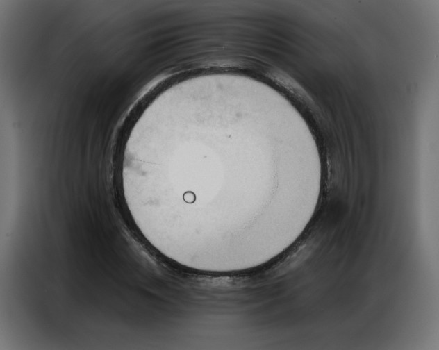 X0000086930828200704161422