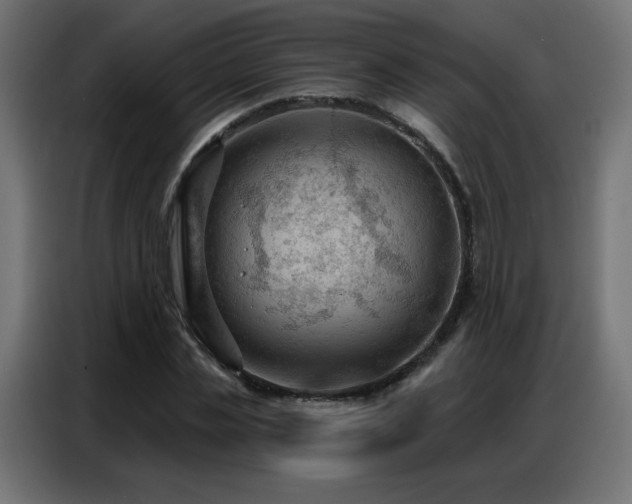 X0000086930829200704161422