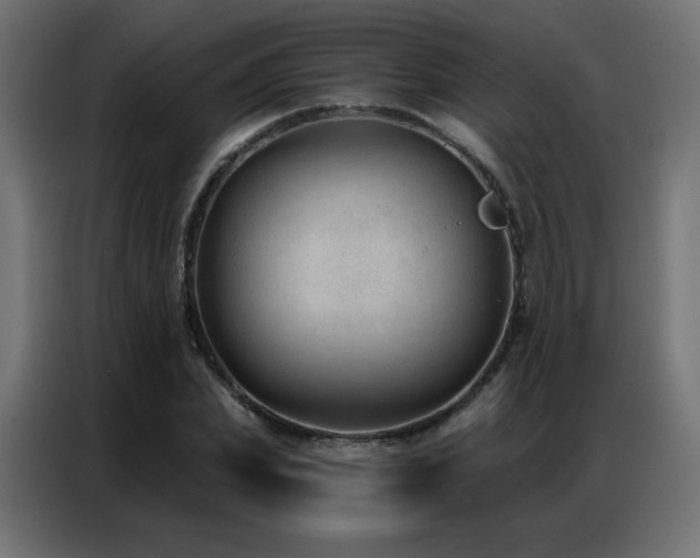 X0000086930831200704161422