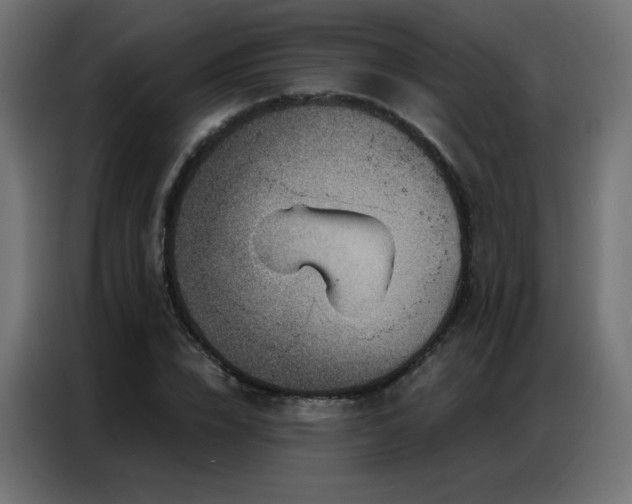 X0000086930832200704161422
