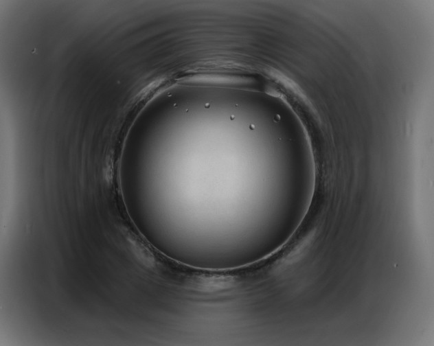X0000086930833200704161422