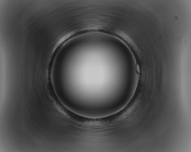 X0000086930834200704161422