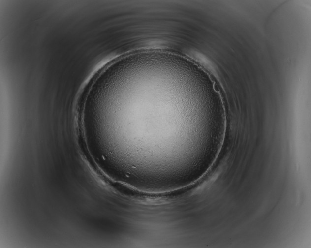 X0000086930835200704161422