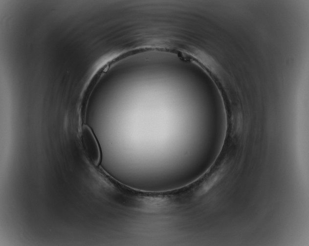 X0000086930838200704161422