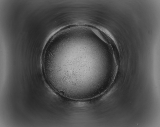 X0000086930839200704161422