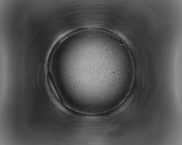 X0000086930840200704161422