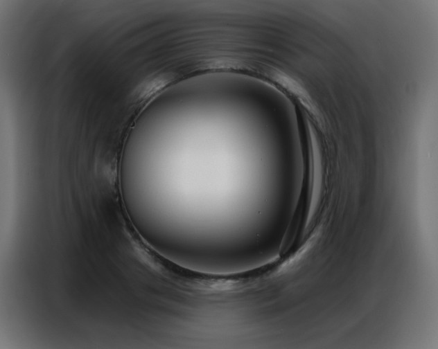 X0000086930841200704161422
