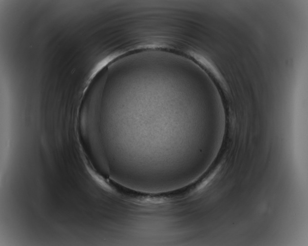 X0000086930842200704161422