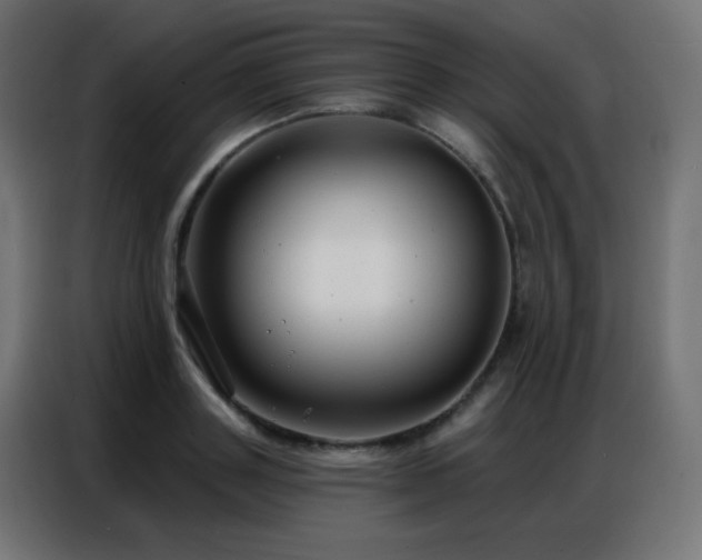 X0000086930843200704161422