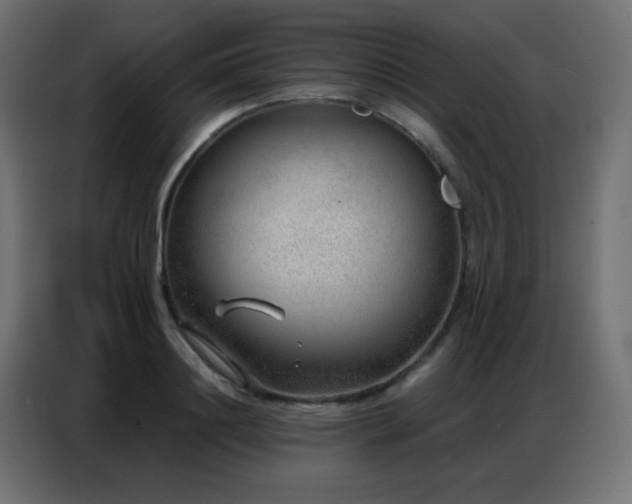 X0000086930844200704161422