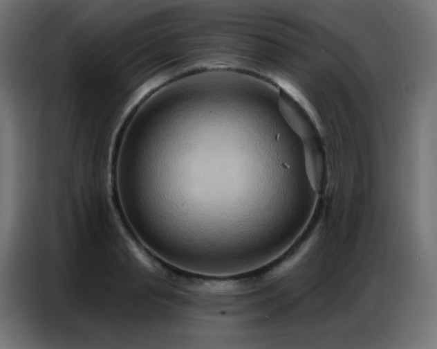 X0000086930845200704161422
