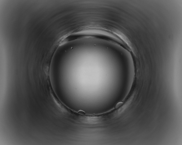 X0000086930849200704161422