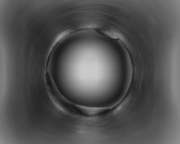 X0000086930850200704161422