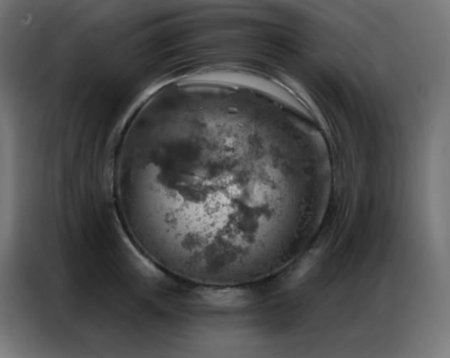 X0000086930851200704161423