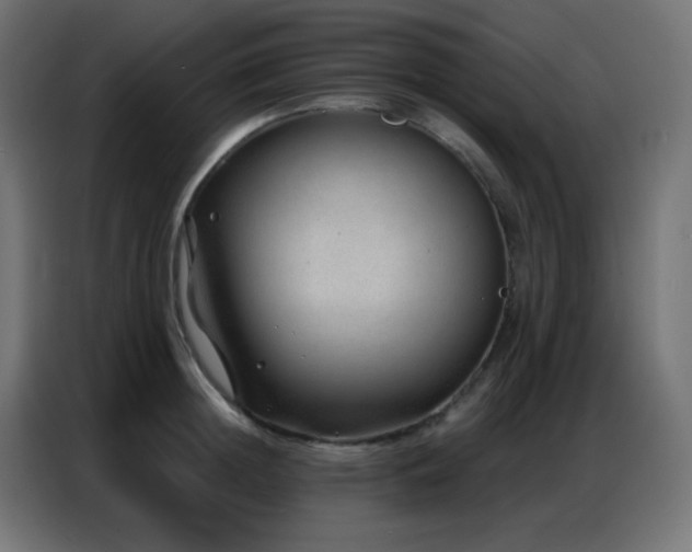 X0000086930852200704161423