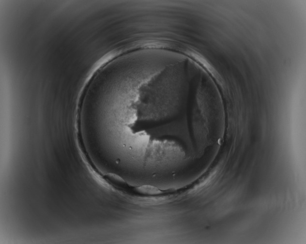 X0000086930853200704161423