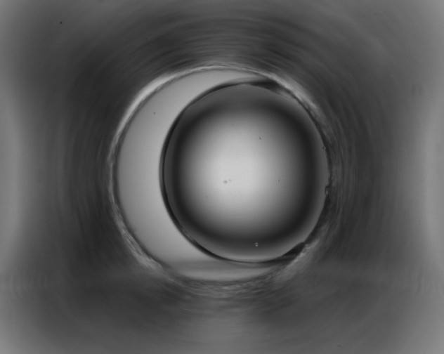 X0000086930854200704161423