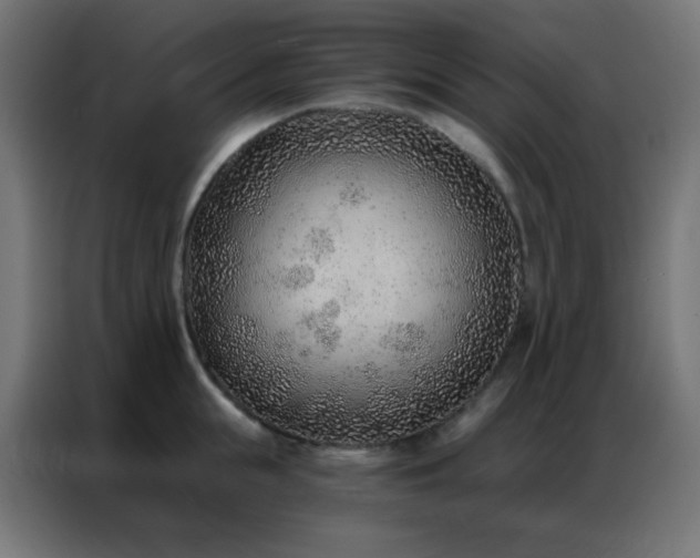 X0000086930855200704161423