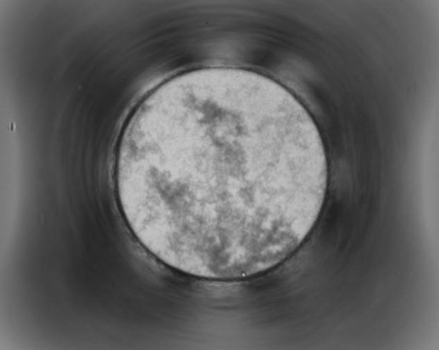 X0000086930856200704161423