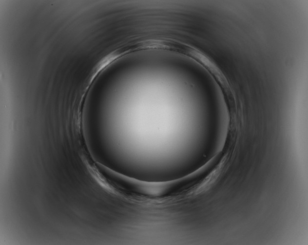 X0000086930858200704161423