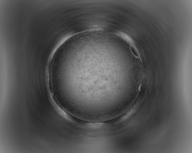 X0000086930859200704161423