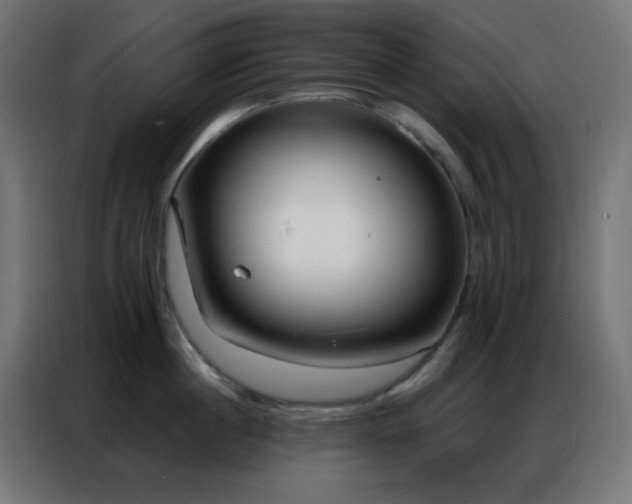 X0000086930860200704161423