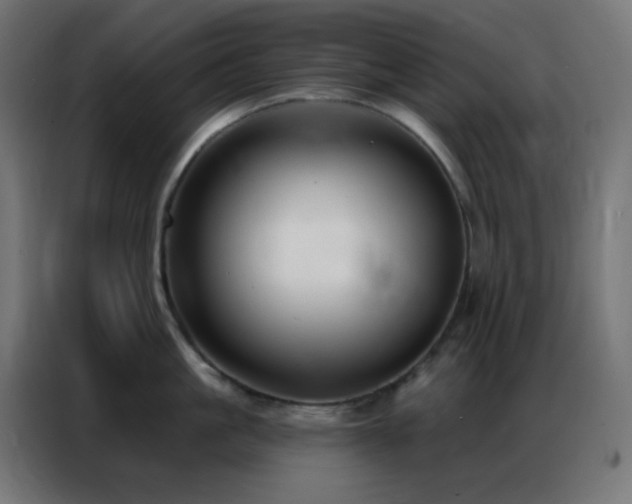 X0000086930861200704161423