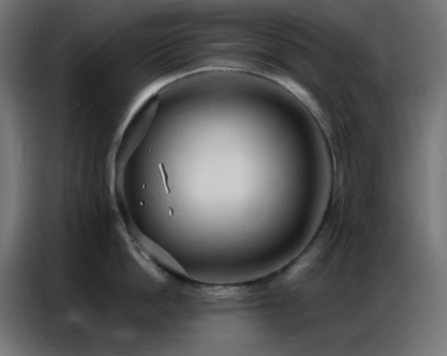 X0000086930862200704161423