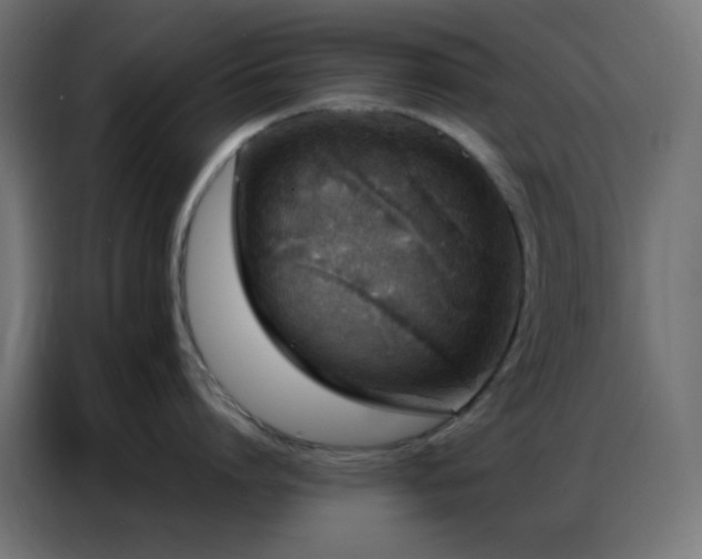 X0000086930864200704161423