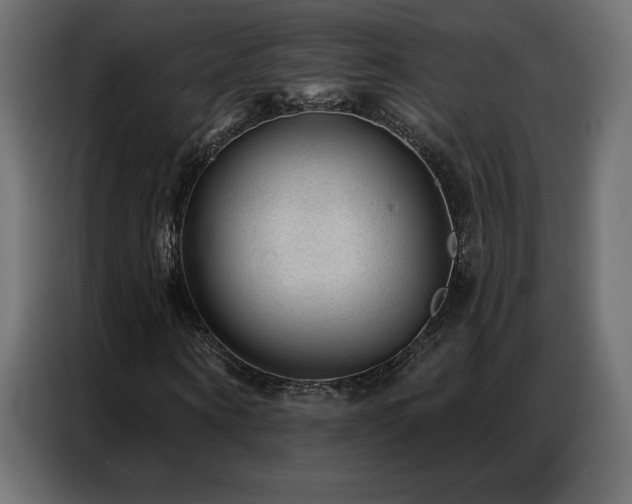 X0000086930866200704161422