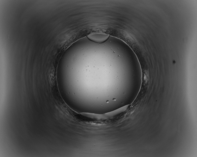 X0000086930867200704161422