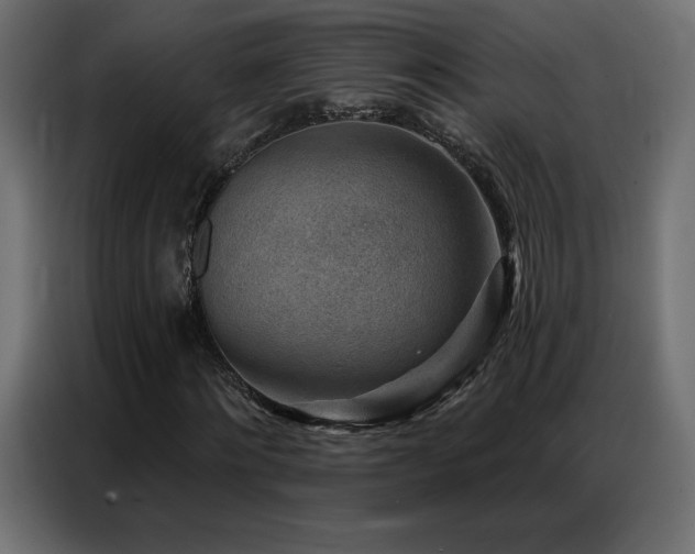 X0000086930868200704161422